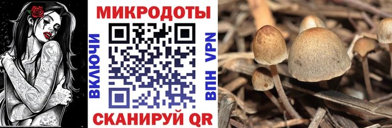 Галлюциногенные грибы Cubensis Купить где Костомукша